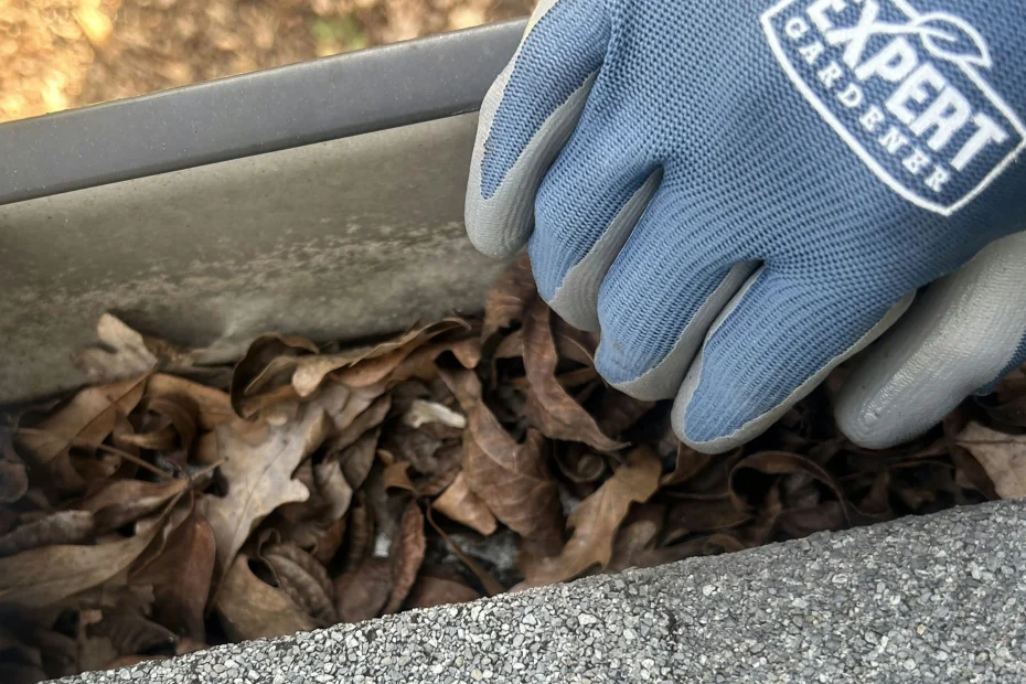 Gutter Cleaning Thomasville