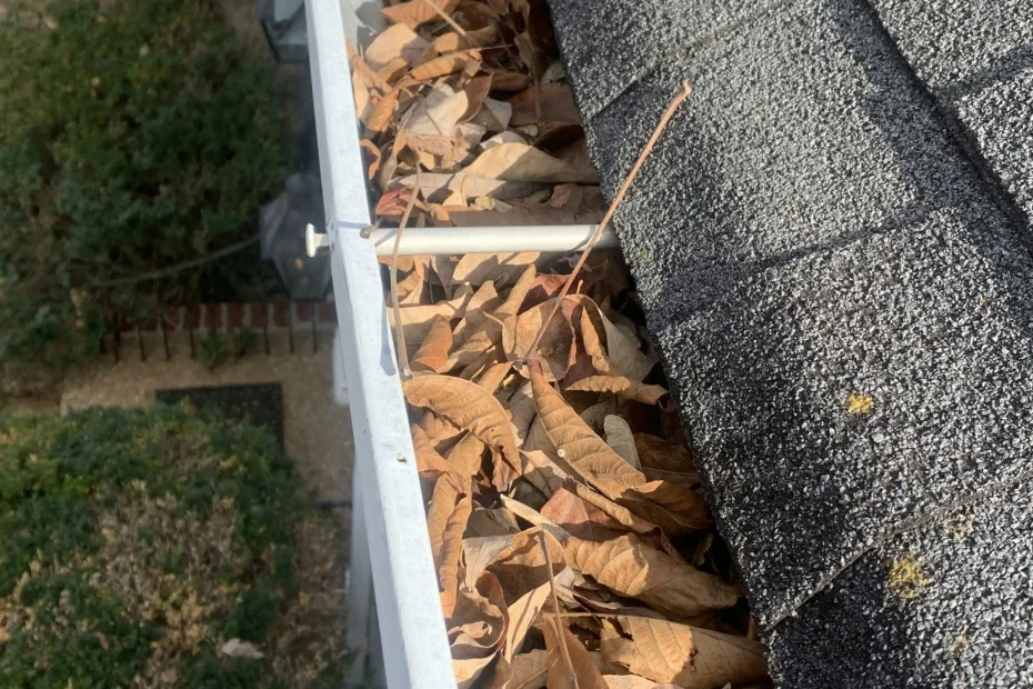 Gutter Cleaning Thomasville