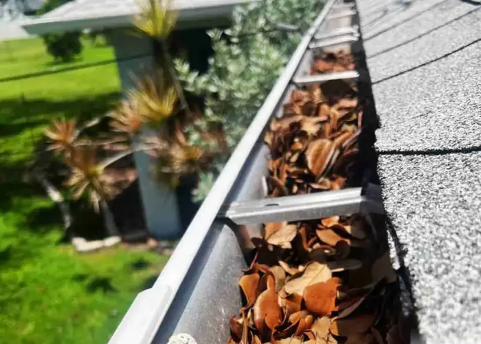 Gutter Cleaning Thomasville home page